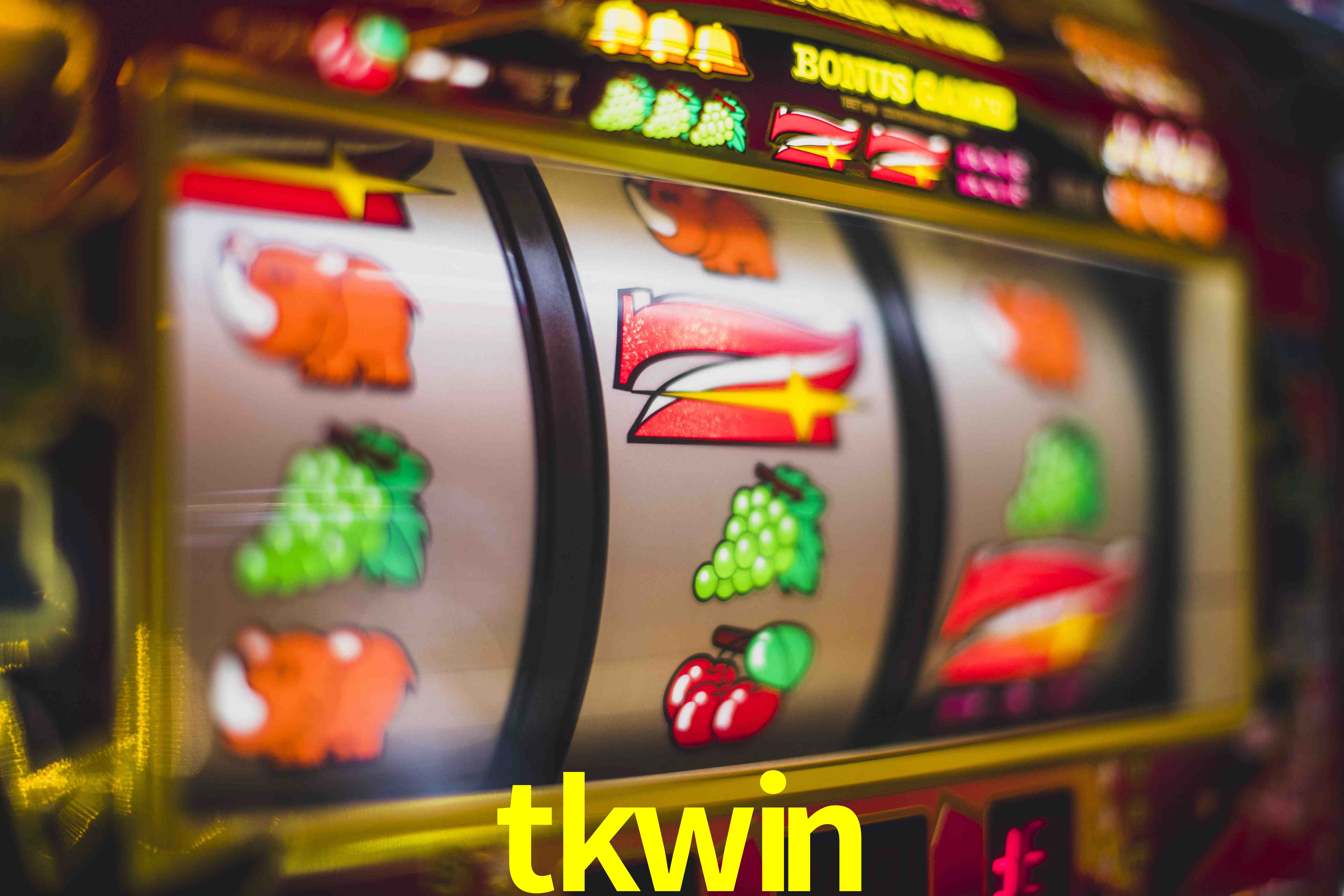 VIP Casino tkwin